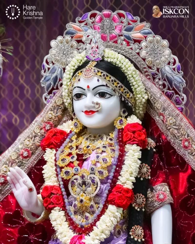 WhatsApp Image 2026-04-13 at 9.52.28 AM