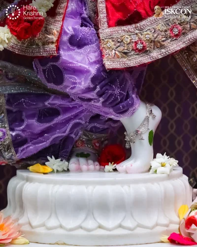 WhatsApp Image 2026-04-13 at 9.52.29 AM (1)