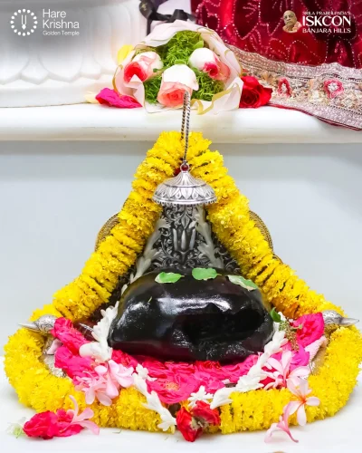 WhatsApp Image 2026-04-13 at 9.52.31 AM (2)