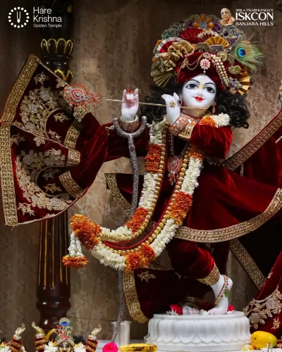 WhatsApp Image 2026-04-14 at 10.06.24 AM (1)