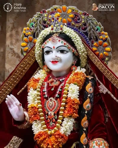 WhatsApp Image 2026-04-14 at 10.06.24 AM (2)