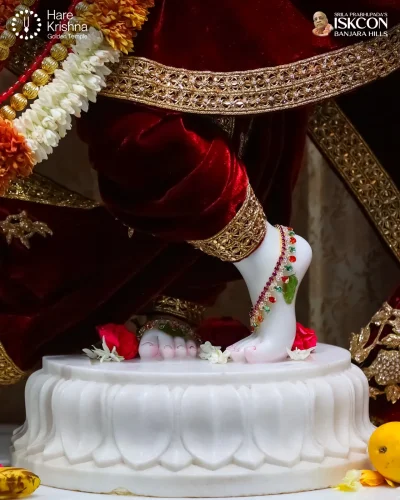 WhatsApp Image 2026-04-14 at 10.06.25 AM (2)