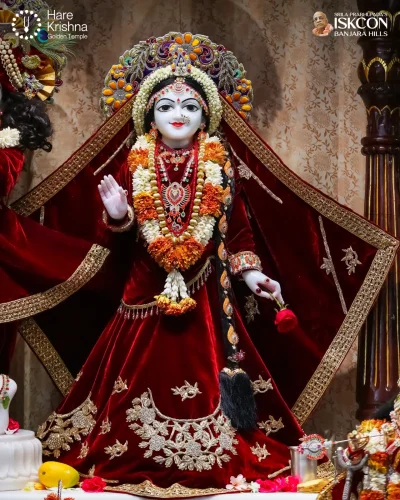 WhatsApp Image 2026-04-14 at 10.06.24 AM