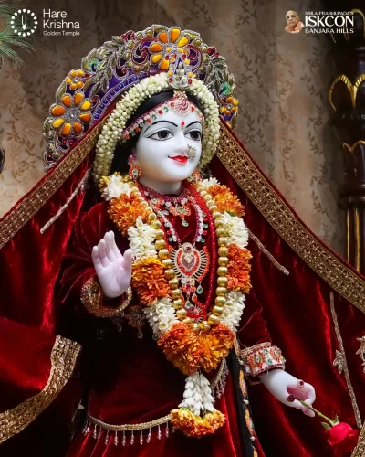 WhatsApp Image 2026-04-14 at 10.06.25 AM