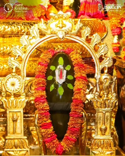 WhatsApp Image 2026-04-14 at 10.06.28 AM (1)