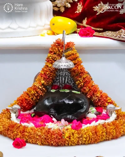 WhatsApp Image 2026-04-14 at 10.06.29 AM (1)