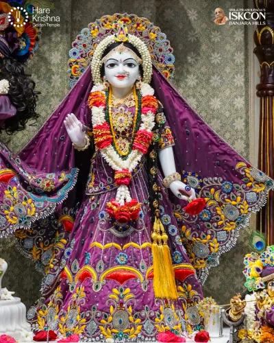 WhatsApp Image 2026-04-17 at 10.17.09 AM (1)