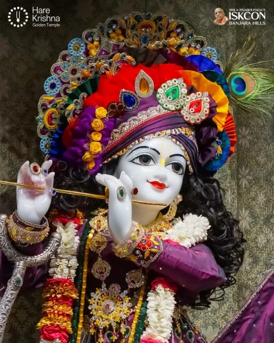 WhatsApp Image 2026-04-17 at 10.17.11 AM (1)