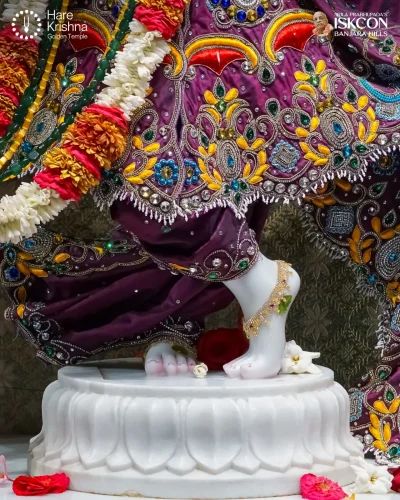 WhatsApp Image 2026-04-17 at 10.17.11 AM (2)