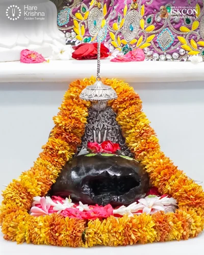 WhatsApp Image 2026-04-17 at 10.17.13 AM (2)