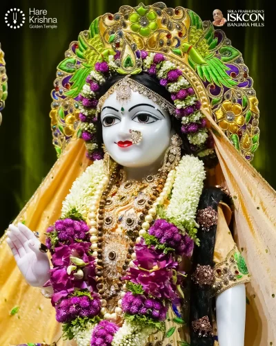 WhatsApp Image 2026-06-13 at 9.03.53 AM (1)