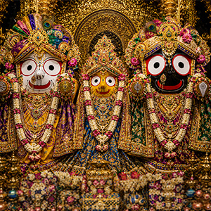 Vastra Abharana Seva copyjpg