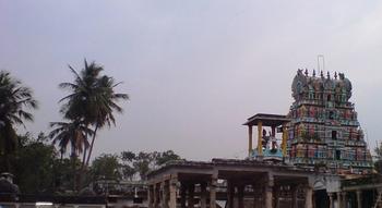 Agneeswarar Temple (Shukra)